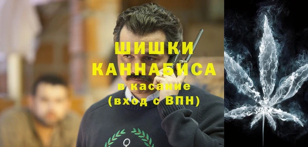 ешки Медногорск