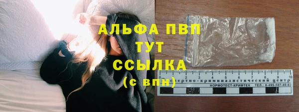 тгк Анжеро-Судженск