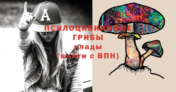 спайс Медвежьегорск