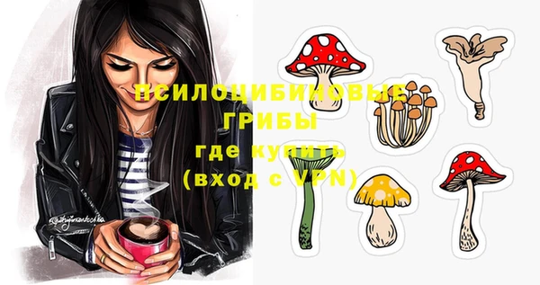 тгк Анжеро-Судженск
