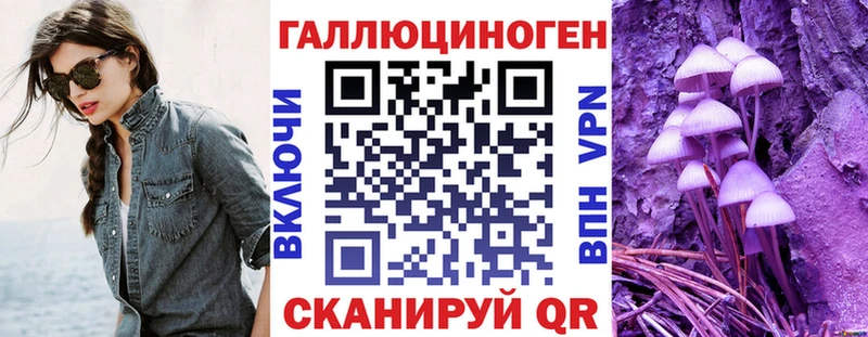хочу   Майкоп  Псилоцибиновые грибы Cubensis 