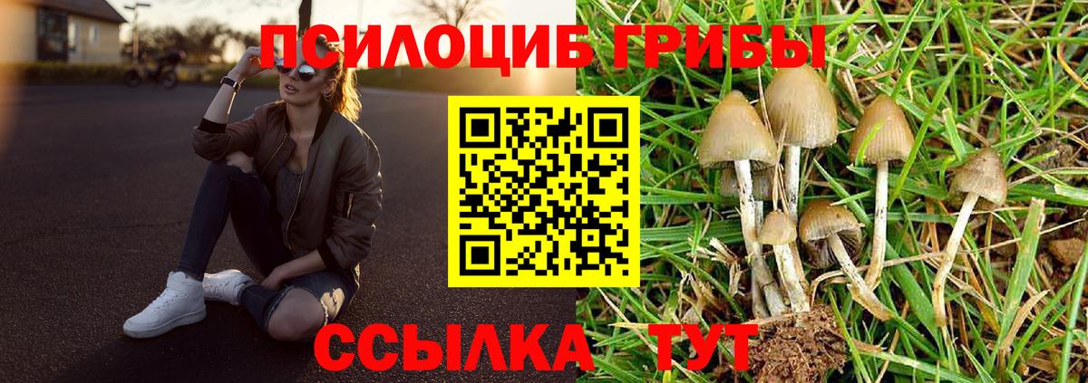 Псилоцибиновые грибы Magic Shrooms  Вход с VPN  Майкоп 