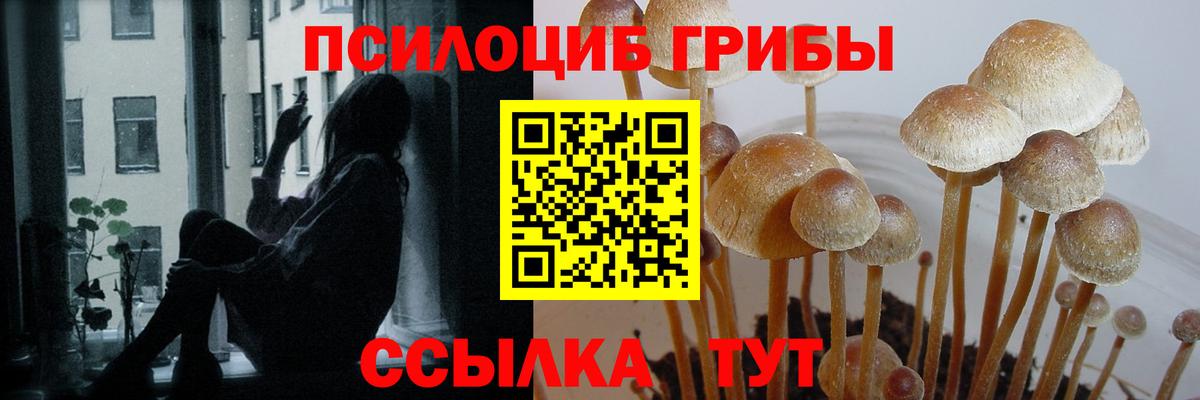 Псилоцибиновые грибы MAGIC MUSHROOMS Майкоп
